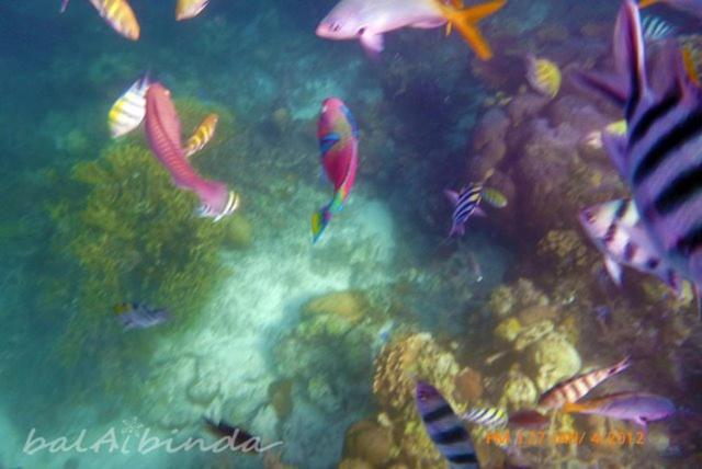 Balaibinda Lodge Coron Buitenkant foto